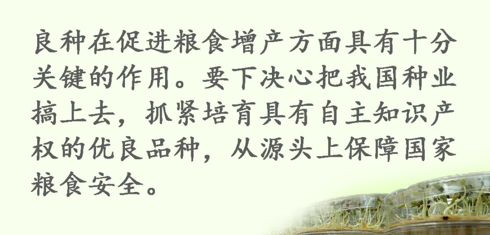 鏡觀·領航丨習近平:這是一件具有戰(zhàn)略意義的大事