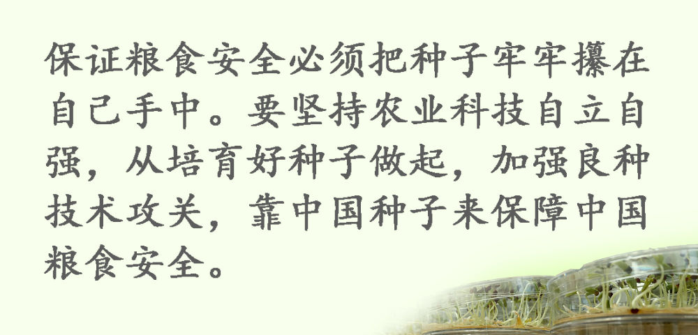 鏡觀·領航丨習近平:這是一件具有戰(zhàn)略意義的大事
