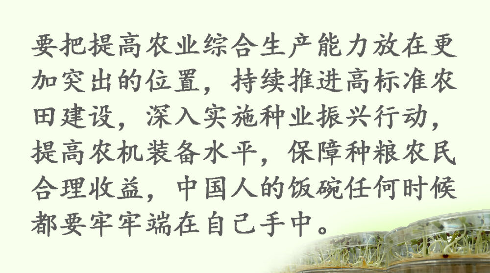 鏡觀·領航丨習近平:這是一件具有戰(zhàn)略意義的大事