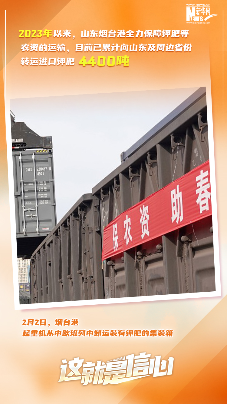 這就是信心｜實(shí)干爭春早，外貿(mào)樞紐貨運(yùn)忙