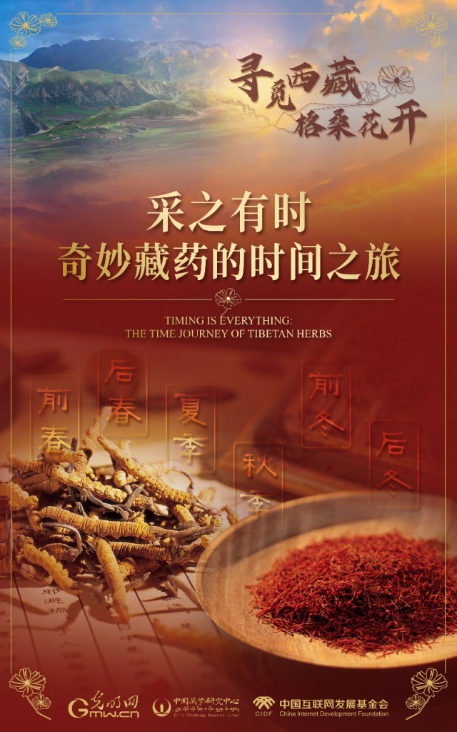 【尋覓西藏·格桑花開】采之有時(shí):奇妙藏藥的時(shí)間之旅