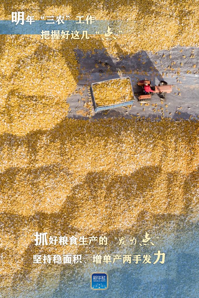 明年“三農(nóng)”工作，這幾個“點”要把握好