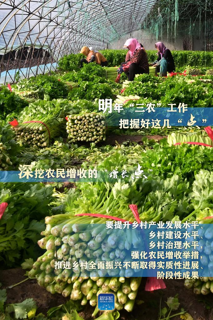 明年“三農(nóng)”工作，這幾個“點”要把握好