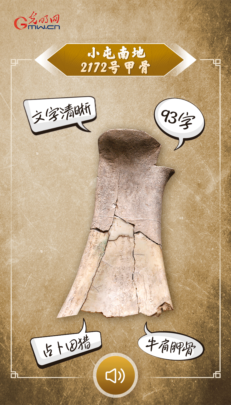 文物會(huì)說(shuō)話 | 殷墟博物館新館開(kāi)館啦，帶你奔赴“千年之約”