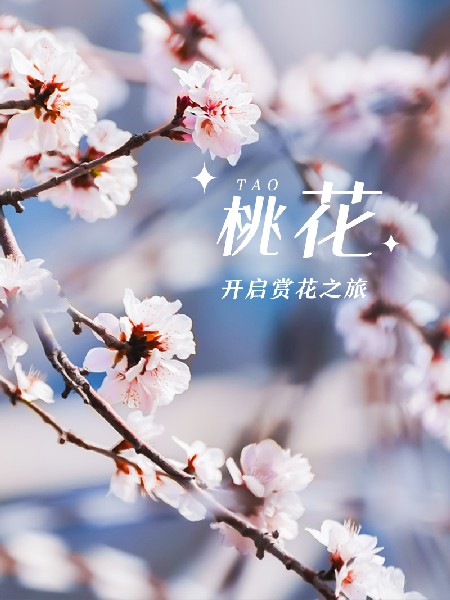 追花指南第三期！別等了 今天就去和桃花撞個(gè)滿(mǎn)懷