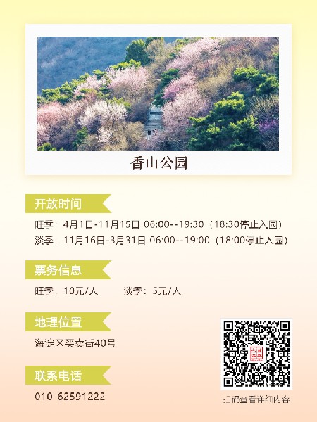 追花指南第六期！杏花雨 楊柳風(fēng) 北京最美的杏花在這里