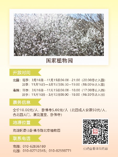 追花指南第六期！杏花雨 楊柳風(fēng) 北京最美的杏花在這里