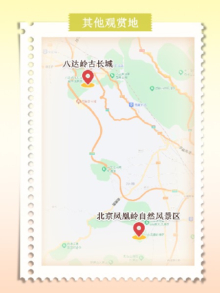 追花指南第六期！杏花雨 楊柳風(fēng) 北京最美的杏花在這里