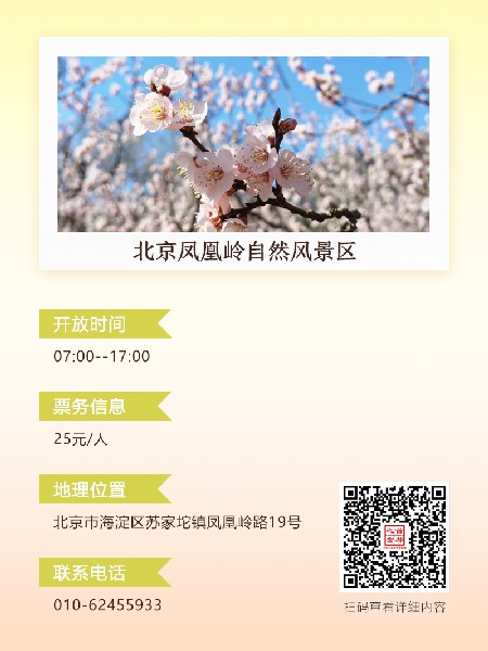 追花指南第六期！杏花雨 楊柳風(fēng) 北京最美的杏花在這里