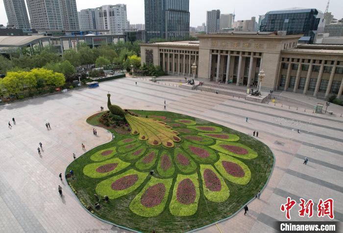 圖為航拍花壇。(無人機(jī)照片) 翟羽佳 攝