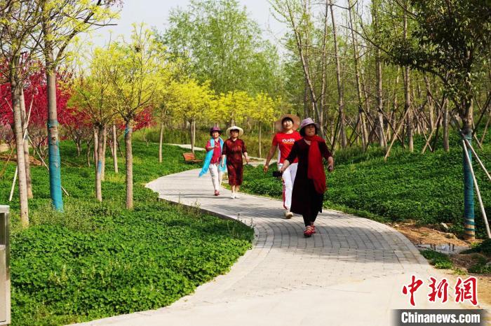 河北邢臺:綠“鏈”串“珠”串起城市生態(tài)走廊