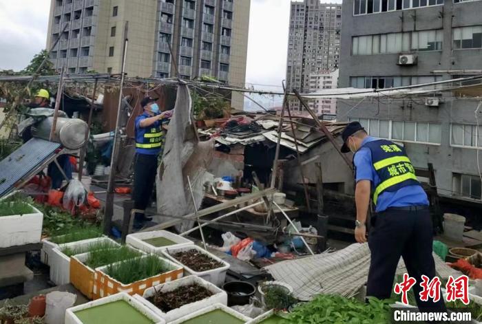 在一處居民樓屋頂，城管隊(duì)員拆除“空中菜園”?！〗疖?攝