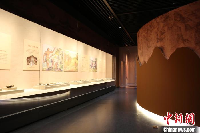 展覽展出了周口店遺址的139件(套)文物。　太原市博物館供圖