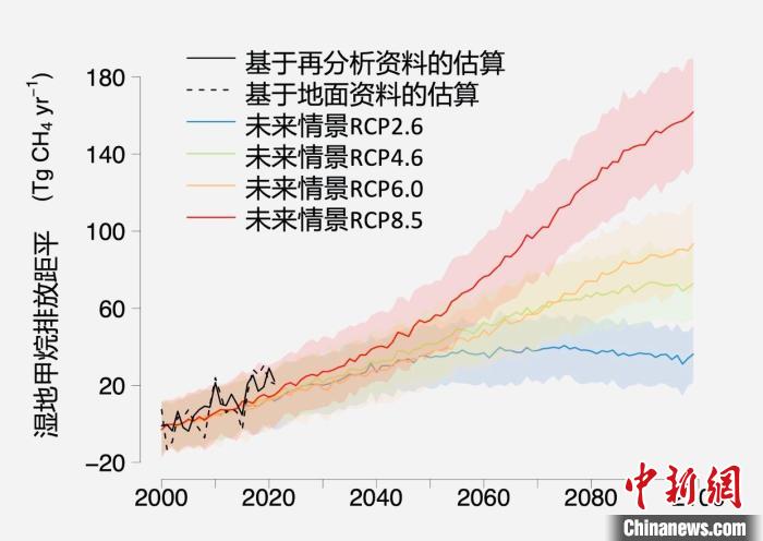 基于觀測的濕地甲烷排放變化與未來氣候變化情景下估算的對比?！≈锌圃呵嗖馗咴?供圖