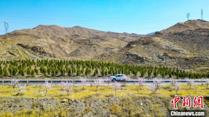 生態(tài)修復(fù)后逐漸變綠的賀蘭山石嘴山段?！∈焐绞形麄鞑抗﹫D