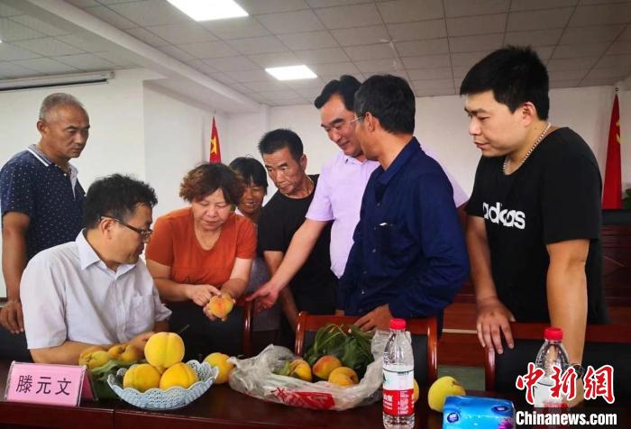 民進浙江省委會為三里橋黃桃種植戶送技術(shù)、送指導(dǎo)?！〖紊平y(tǒng)戰(zhàn) 供圖