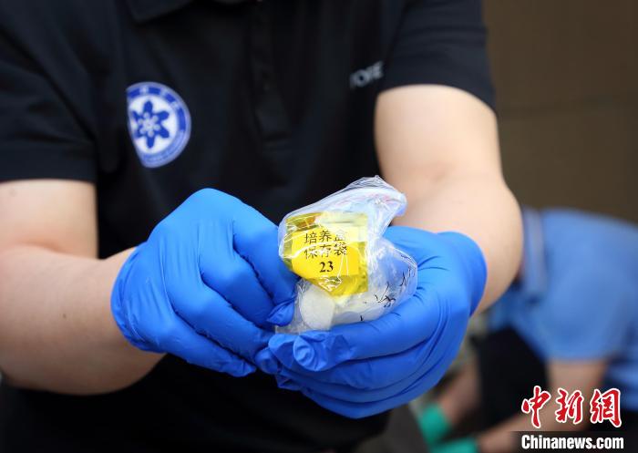 隨神舟十五號返回地面的空間科學(xué)實驗樣品?！≈锌圃嚎臻g應(yīng)用中心 供圖