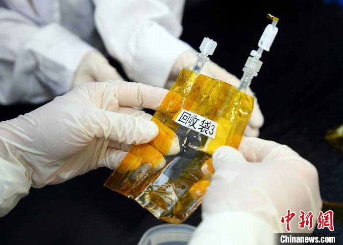 隨神舟十五號返回地面的空間科學(xué)實驗樣品?！≈锌圃嚎臻g應(yīng)用中心 供圖