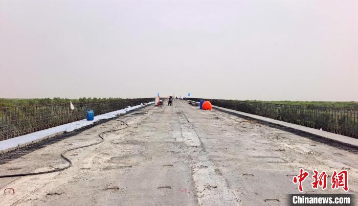 工作人員正在橋面上緊張有序地施工?！∈酚窠?攝