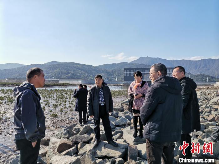 浙江海洋生態(tài)觀察：智慧大腦如何解鎖藍(lán)色發(fā)展密碼？