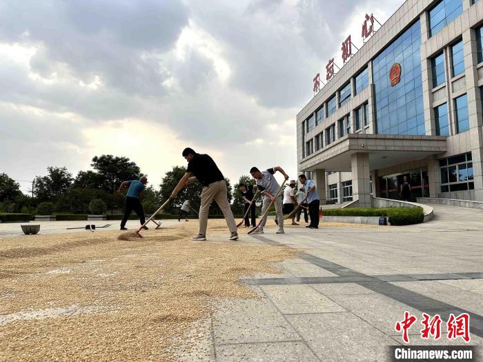 平原縣組織志愿者幫助農(nóng)民晾曬小麥?！垈?攝