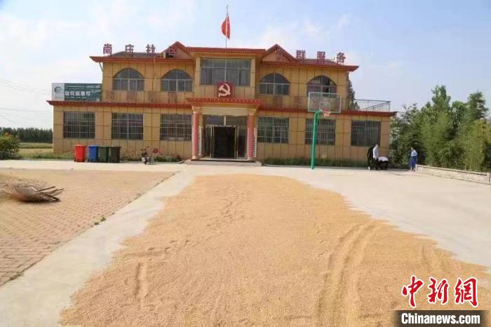 農(nóng)民在邳莊鎮(zhèn)尚莊村黨群服務(wù)中心大院里曬糧?！≠Z萌 攝