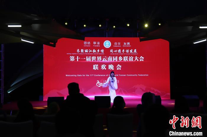 圖為第十一屆世界云南同鄉(xiāng)聯(lián)誼大會舉辦聯(lián)歡晚會?！〈抻澜?攝