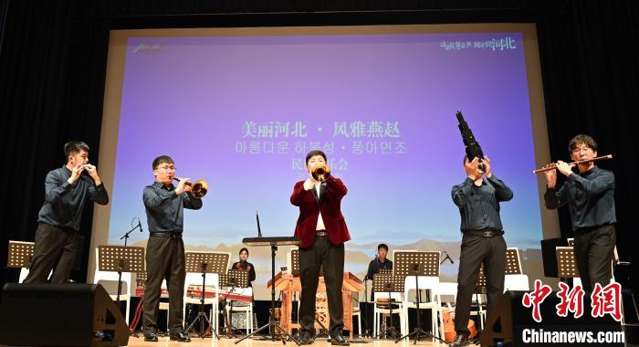 圖為音樂會現(xiàn)場?！∈谞栔袊幕行墓﹫D