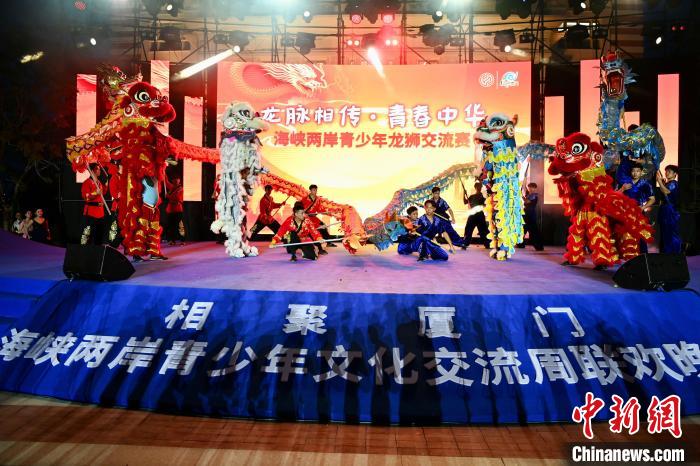 聯(lián)歡晚會上，兩岸青少年同臺呈現(xiàn)龍獅表演。　王東明 攝