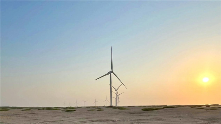 圖為阿聯酋風電示范項目在阿布扎比薩爾巴尼亞斯島上的風電場。 中國電建供圖