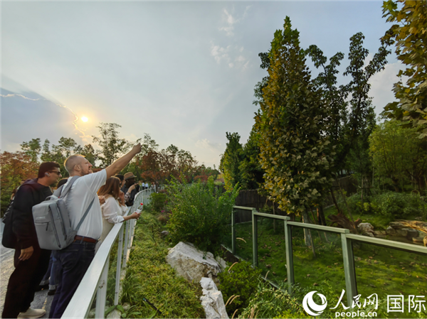 （“絲路獎(jiǎng)”獲獎(jiǎng)嘉賓在參觀成都大熊貓繁育研究基地。本報(bào)記者 王影迪攝）