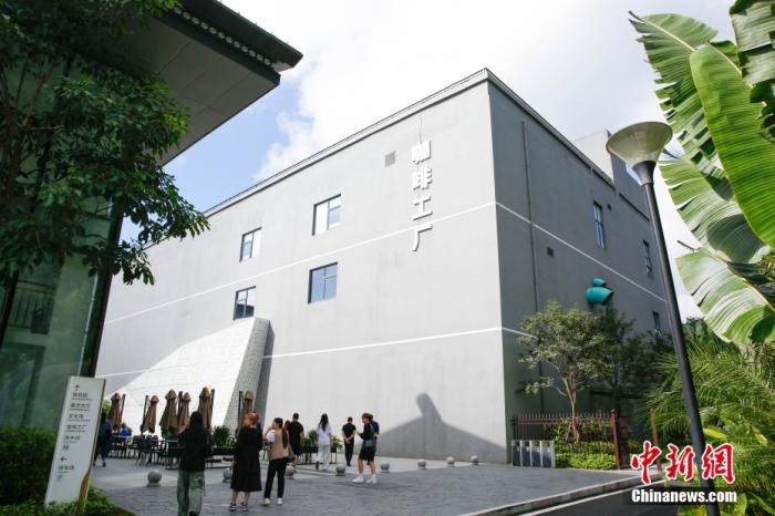 圖為采訪團一行參觀咖啡工廠。 曹淼欣 攝