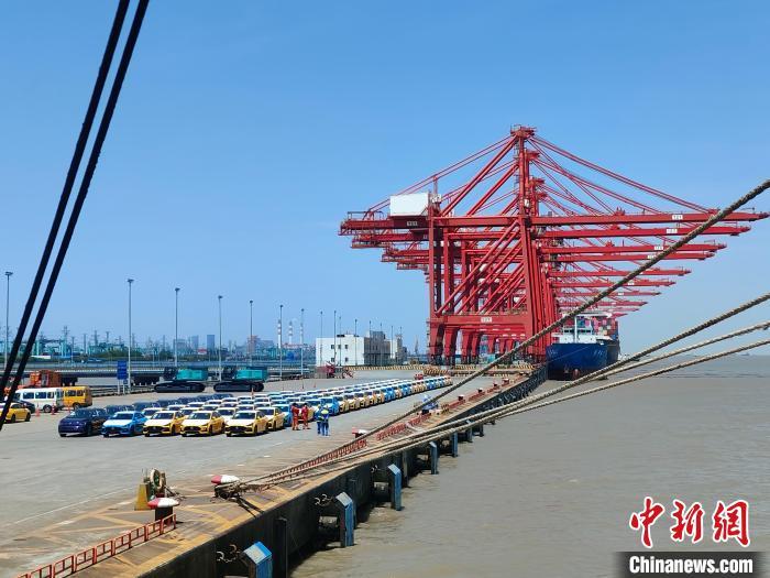 資料圖：國(guó)產(chǎn)新能源車在上海外高橋港區(qū)海通碼頭“整裝待發(fā)”。　浦帆 攝