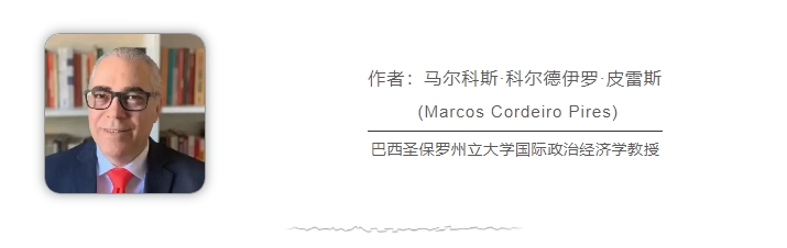 巴西學者：俄烏、巴以沖突再次暴露美西方“雙標”本質
