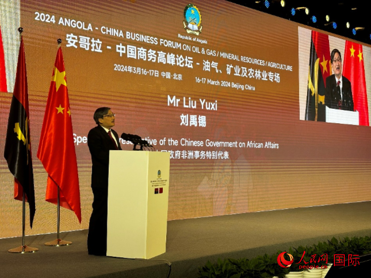 中國政府非洲事務(wù)特別代表劉禹錫。人民網(wǎng)記者 張榮攝