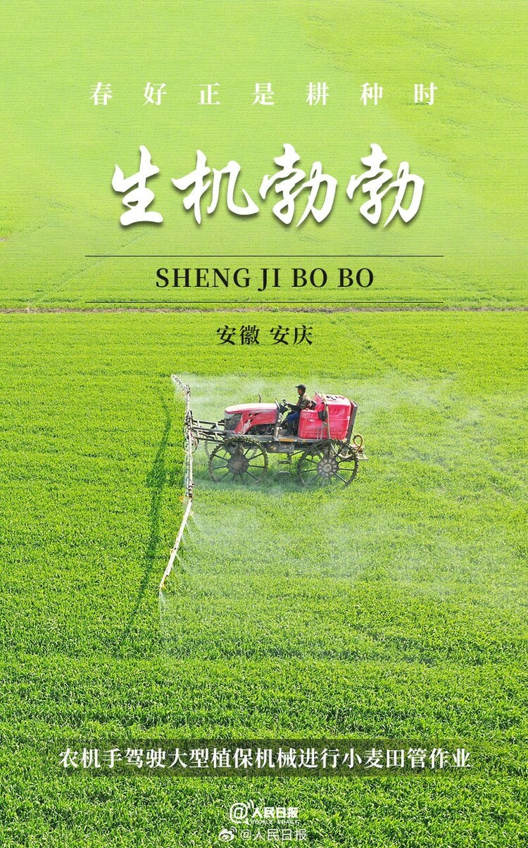 生機(jī)盎然！用課本封面打開春耕畫卷