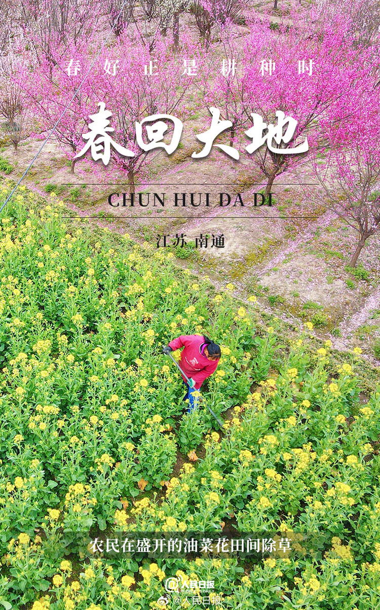 生機(jī)盎然！用課本封面打開春耕畫卷