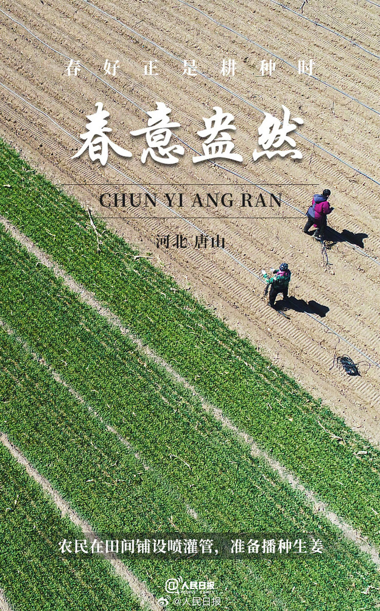 生機(jī)盎然！用課本封面打開春耕畫卷