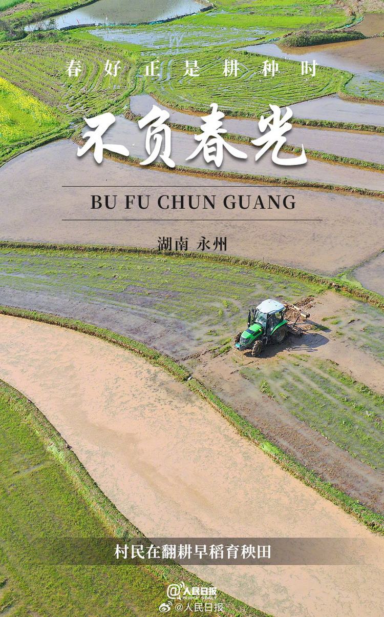 生機(jī)盎然！用課本封面打開春耕畫卷