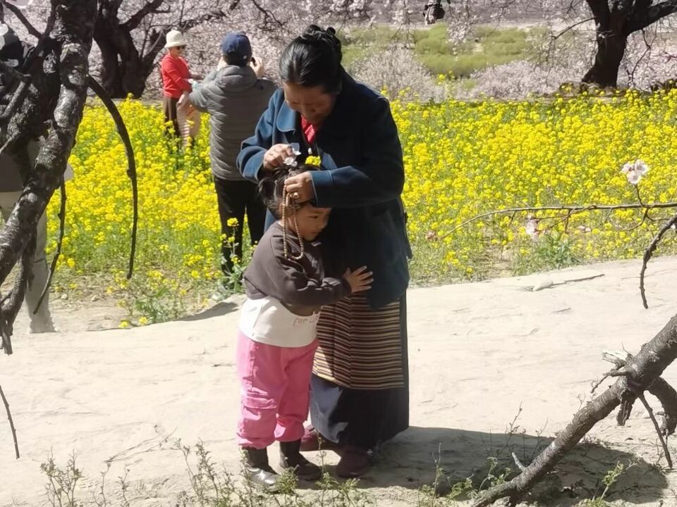 文旅新探|西藏林芝桃花行