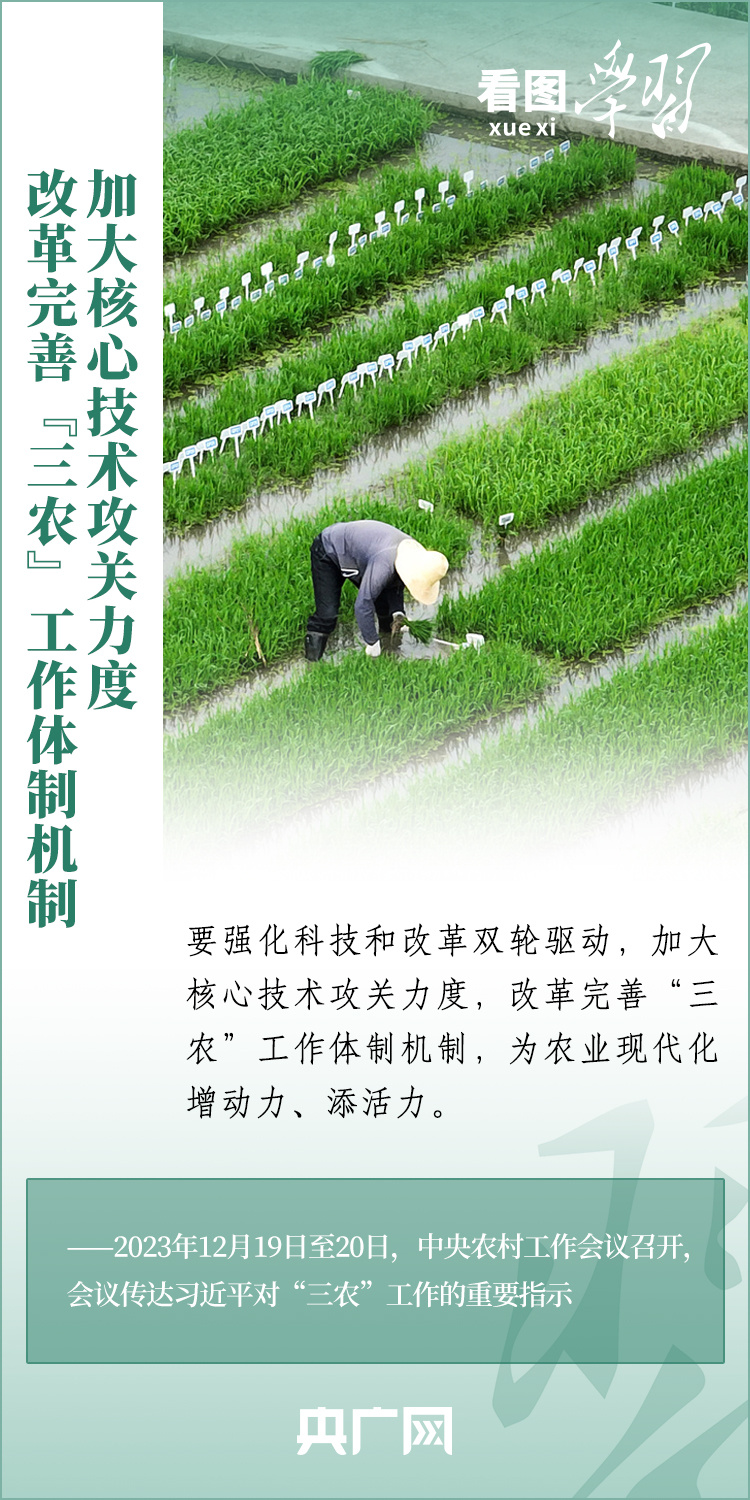 看圖學習丨推廣良田、良種、良法、良機 給農(nóng)業(yè)現(xiàn)代化插上科技的翅膀