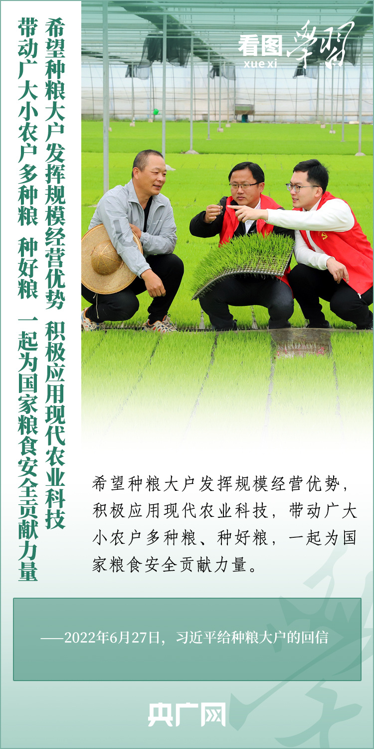 看圖學習丨推廣良田、良種、良法、良機 給農(nóng)業(yè)現(xiàn)代化插上科技的翅膀