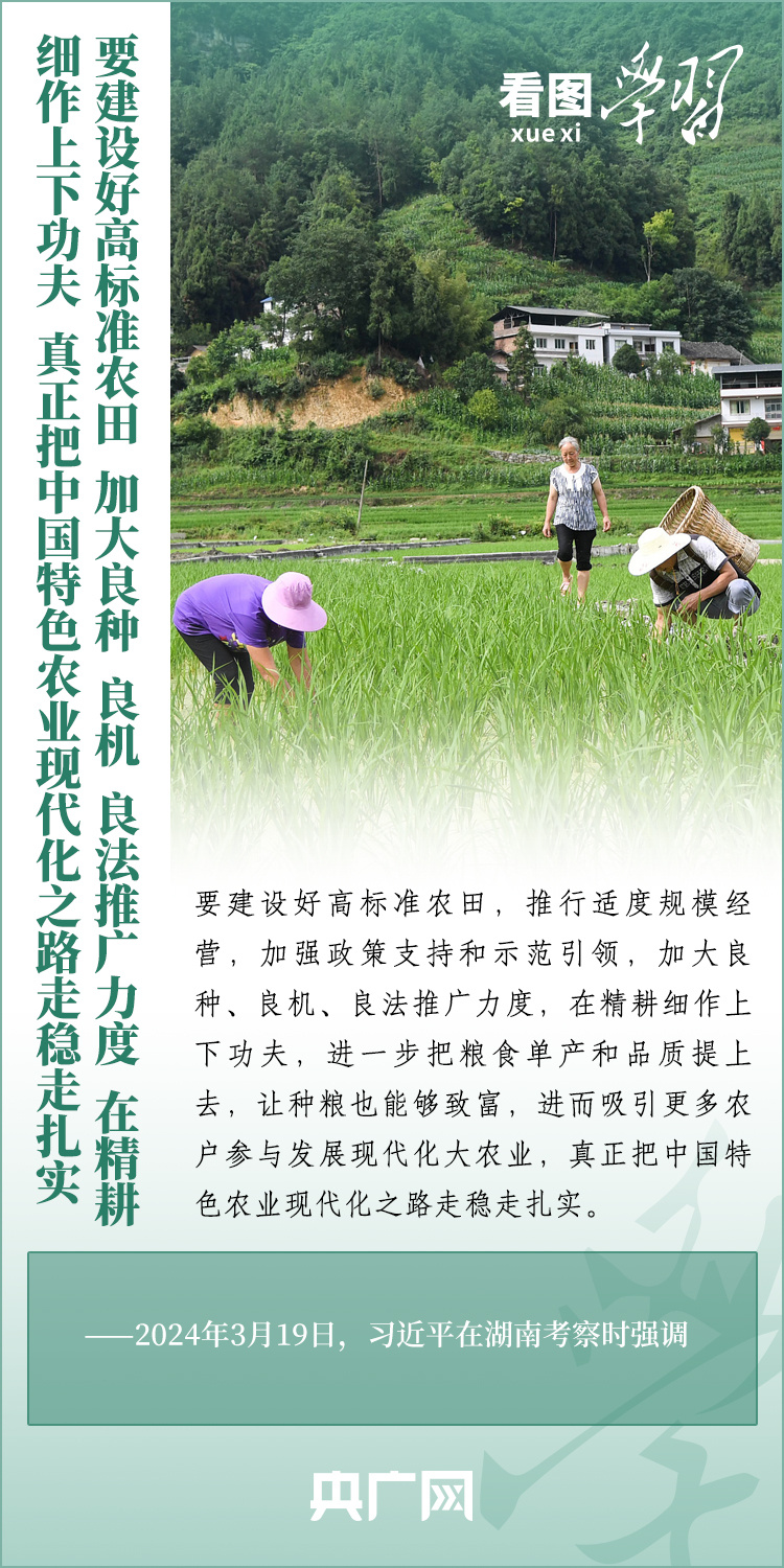 看圖學習丨推廣良田、良種、良法、良機 給農(nóng)業(yè)現(xiàn)代化插上科技的翅膀