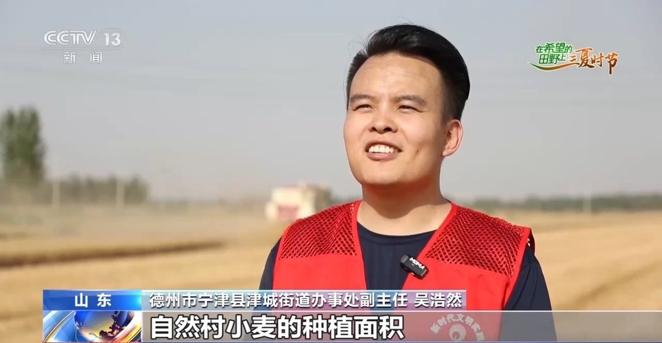 “三夏”生產(chǎn)思維導(dǎo)圖安排上了！還有政府大院等你來(lái)“曬”