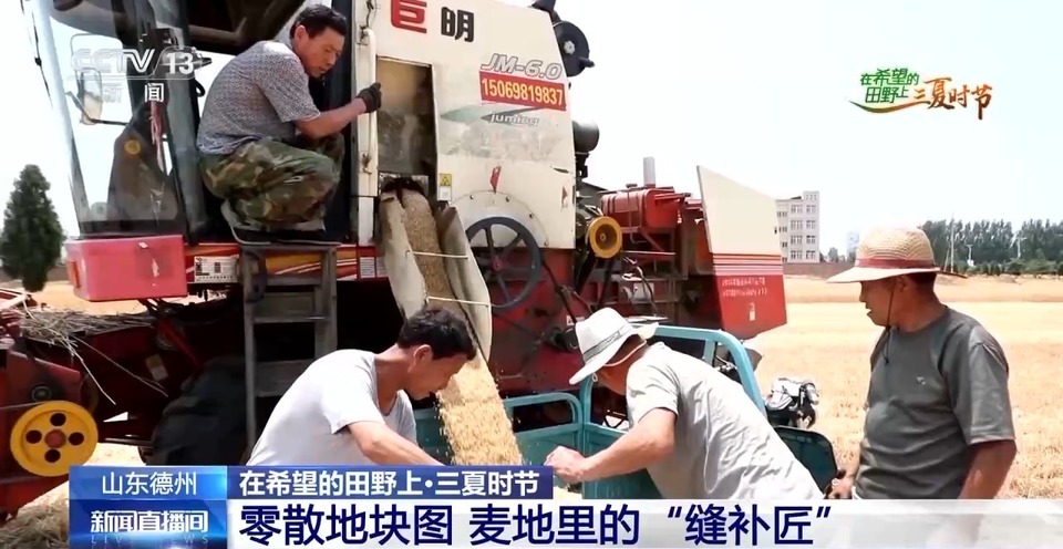 “三夏”生產(chǎn)思維導(dǎo)圖安排上了！還有政府大院等你來(lái)“曬”