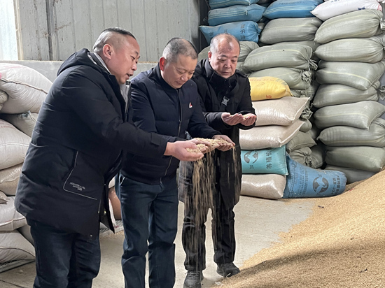 桃江種糧大戶與農(nóng)村農(nóng)業(yè)局技術(shù)人員正在查看春耕種子情況。受訪單位供圖