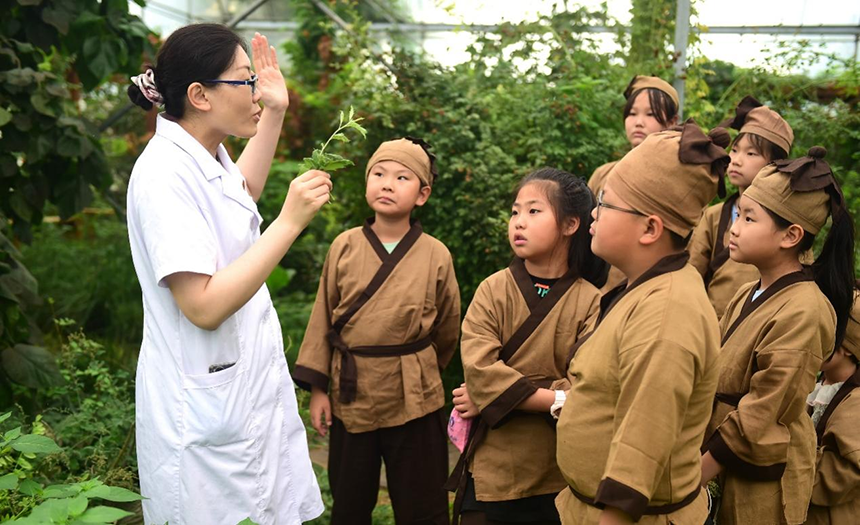參加活動(dòng)的孩子聆聽(tīng)滄州市人民醫(yī)院國(guó)醫(yī)館中醫(yī)對(duì)中藥材的講解。 傅新春攝