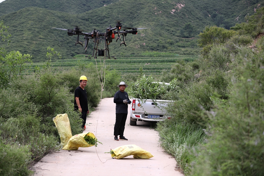 在石家莊市井陘縣吳家窯鄉(xiāng)長峪村荒山造林現(xiàn)場，一名無人機手操控無人機運輸樹苗。王保龍攝