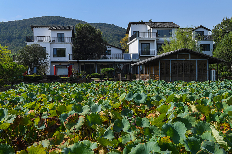 雨悅山房負責人原來在馬達加斯加打理酒店，之所以“從馬達加斯加到肥東”，源于對家鄉(xiāng)民宿前景看好。吳芳攝