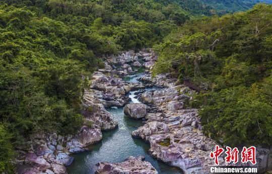2018年海南生態(tài)環(huán)境狀況等級(jí)為“優(yōu)”，植被覆蓋率高，生物多樣性豐富，生態(tài)系統(tǒng)穩(wěn)定，圖為海南中部熱帶雨林?！●樤骑w　攝